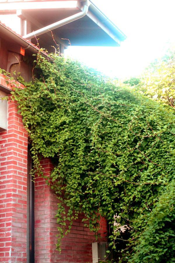 OINA studios Cluj-Napoca Exterior foto